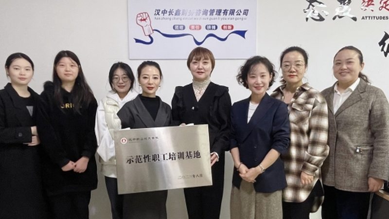 软件团队组织架构设计的核心要素解析**